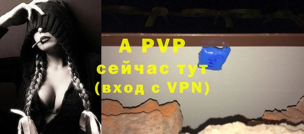 твердый Мегион