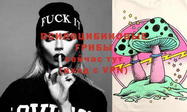 стафф Медвежьегорск