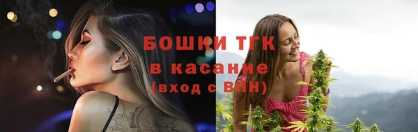твердый Мегион