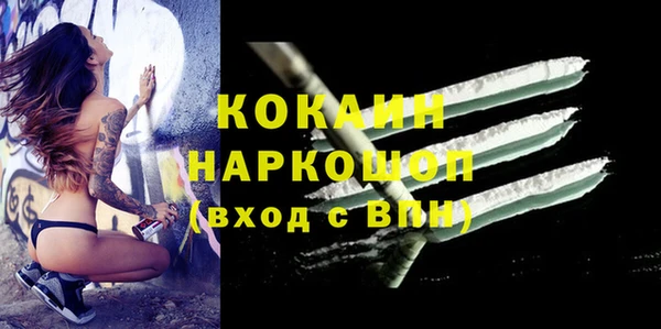 твердый Мегион